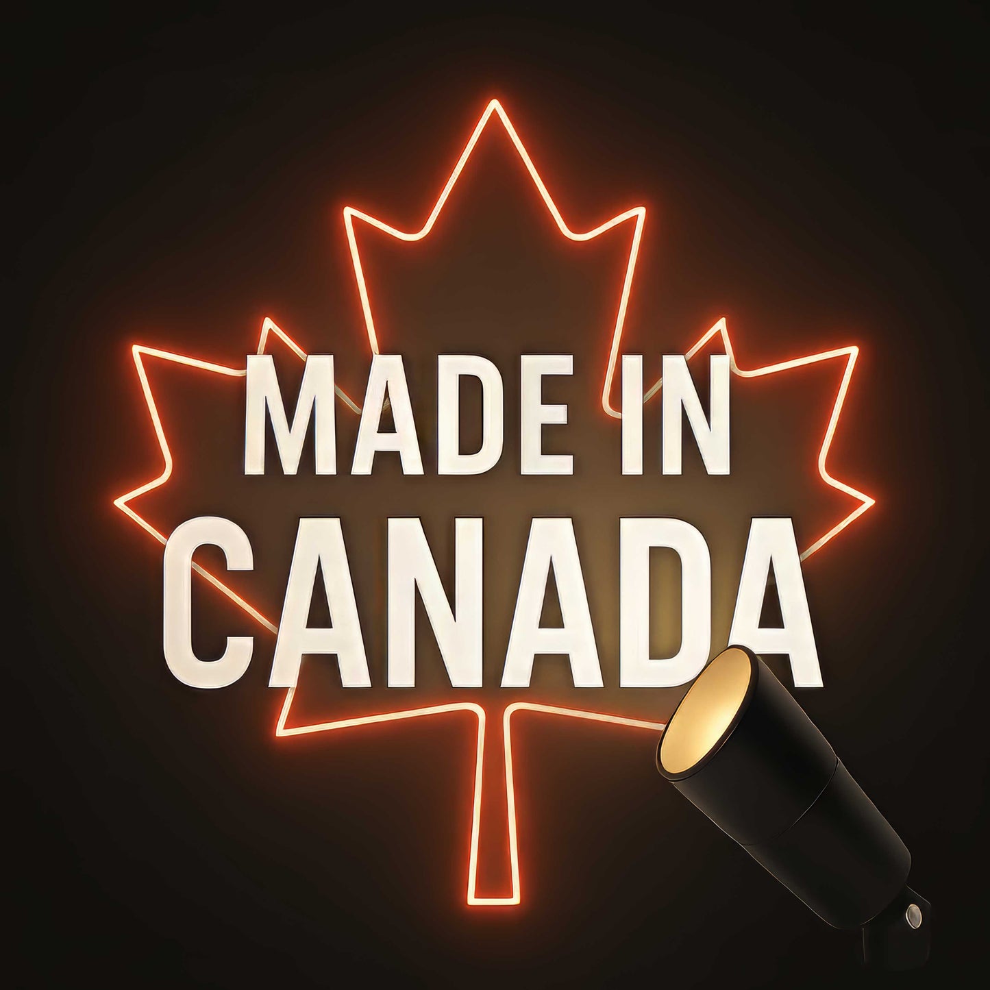 Curved Disc LED Path Light - PL150B