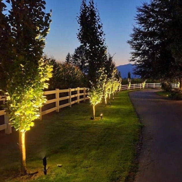 Spot light store for tree